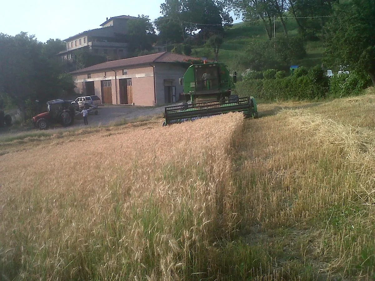 Agriturismo Belvedere Pavullo nel Frignano Italy